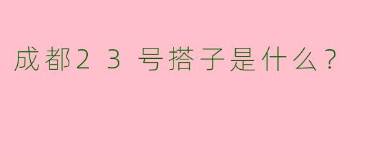 成都23号搭子是什么？  
