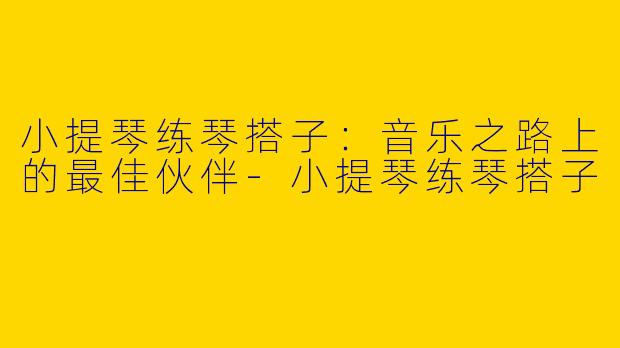 小提琴练琴搭子：音乐之路上的最佳伙伴-小提琴练琴搭子
