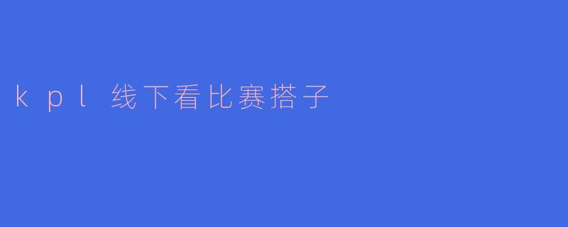kpl线下看比赛搭子