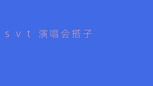 ### SVT演唱会搭子的奇妙经历