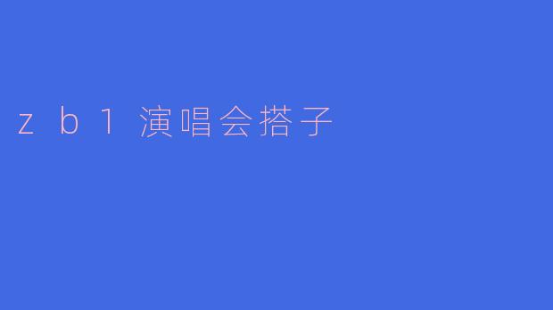 你有找到合适的zb1演唱会搭子吗？