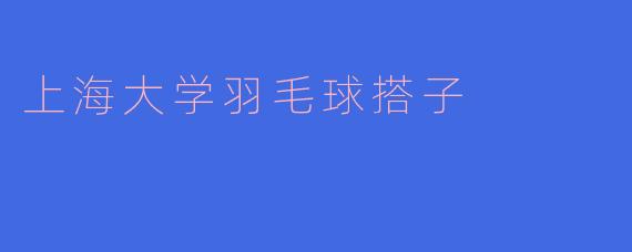 上海大学羽毛球搭子