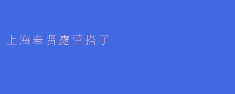 探秘上海奉贤的露营搭子：亲近自然的完美选择