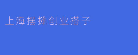 上海摆摊创业搭子:点燃城市街头的创业梦