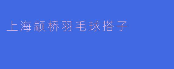 上海颛桥羽毛球搭子