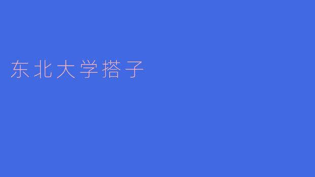 ### 东北大学“搭子”文化:学术交流与友谊的桥梁