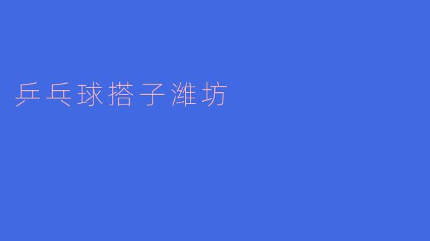 乒乓球搭子潍坊