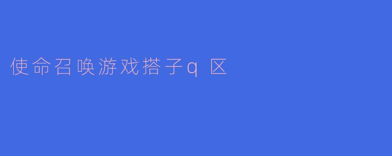 使命召唤游戏搭子q区