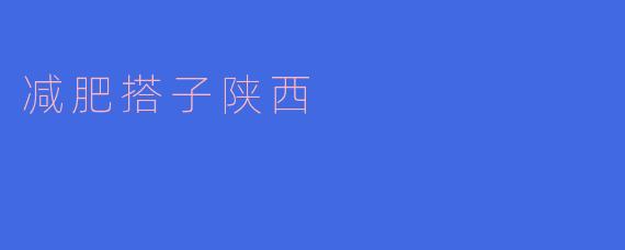 减肥搭子陕西