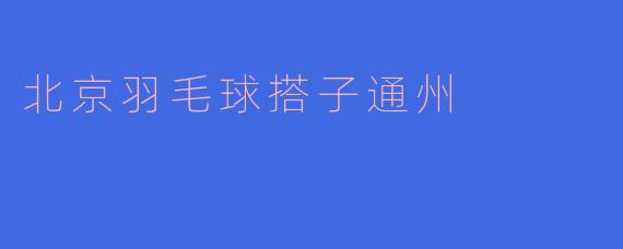 北京羽毛球搭子通州