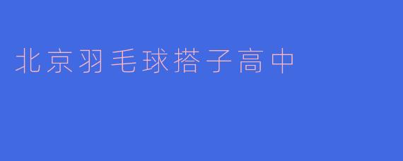 北京羽毛球搭子高中