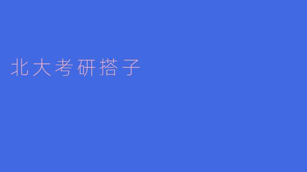 北大考研搭子