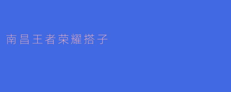 南昌王者荣耀搭子的魅力与挑战