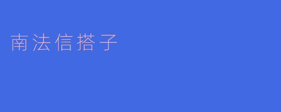 南法信搭子是什么?
