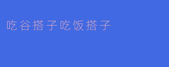 寻找“吃谷搭子”和“吃饭搭子”的幸福共鸣