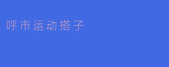 呼市运动搭子是什么?****