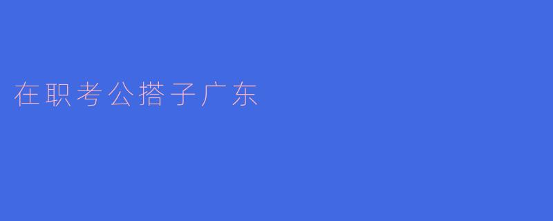 在职考公搭子广东