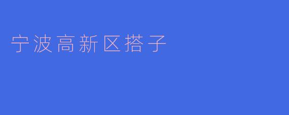 宁波高新区搭子是什么?****