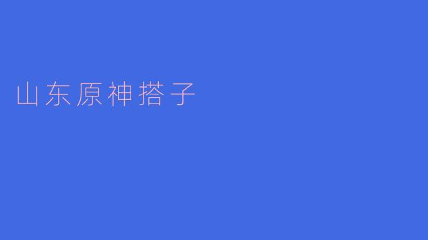 山东原神搭子是什么？  