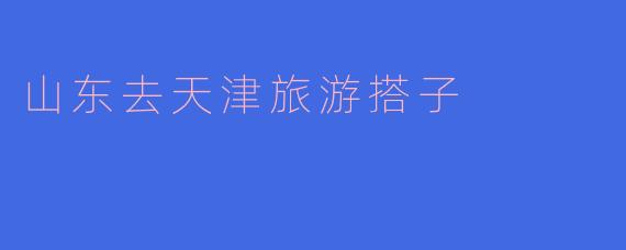 你觉得从山东去天津旅游找个搭子怎么样？  