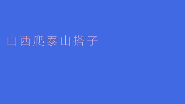 山西爬泰山搭子