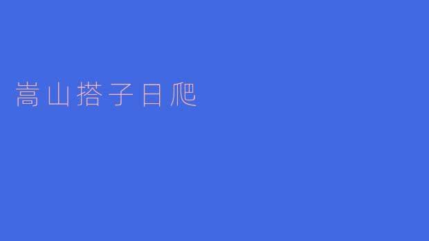 ### 嵩山搭子日爬：心灵与自然的亲密接触