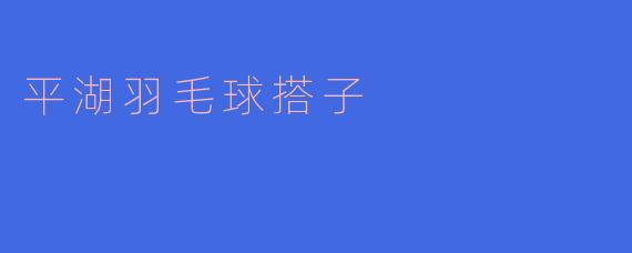 平湖羽毛球搭子