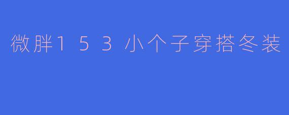 微胖153小个子穿搭冬装