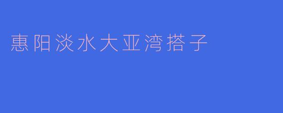 ### 惠阳淡水大亚湾搭子的魅力与文化
