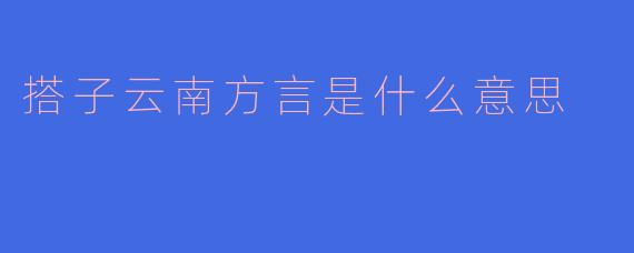 搭子在云南方言中是什么意思？