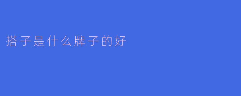 搭子是什么牌子的好