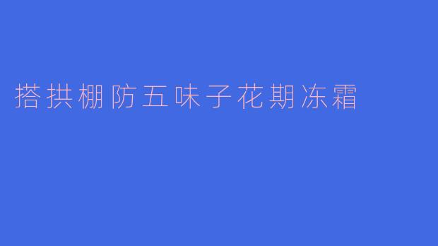 搭拱棚防五味子花期冻霜，提升丰收保障