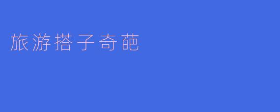旅游搭子奇葩