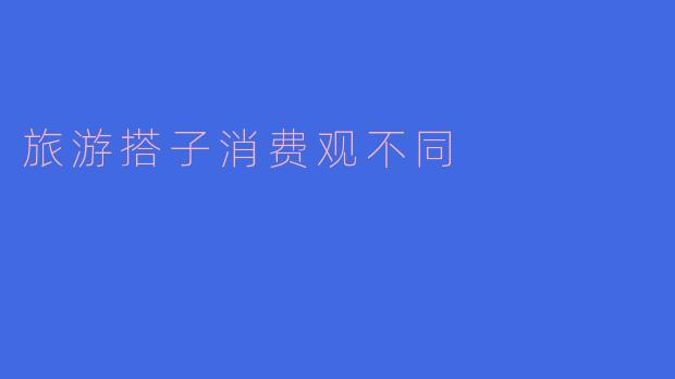 旅游搭子消费观不同