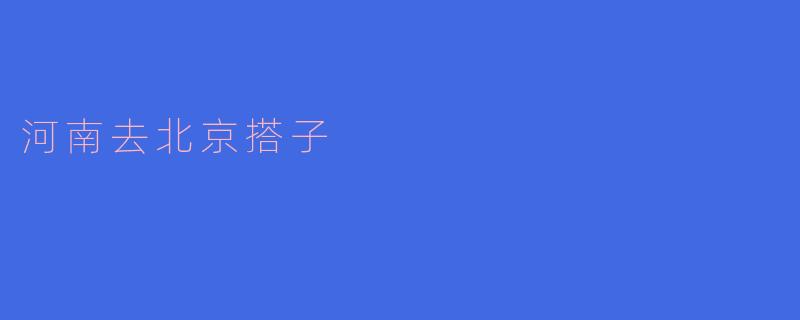 河南去北京搭子