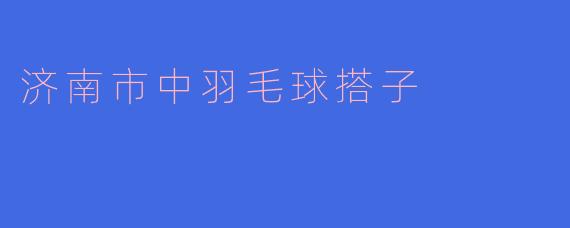 ### 济南市中羽毛球搭子的活力与魅力