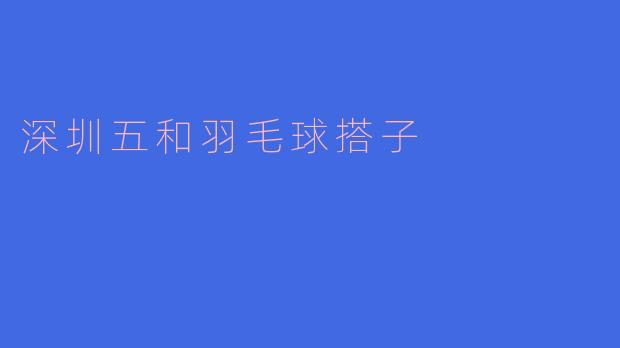 ### 深圳五和羽毛球搭子：携手挥拍，共享运动快乐
