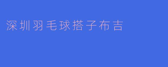 热情相伴,深圳羽毛球搭子布吉的精彩瞬间