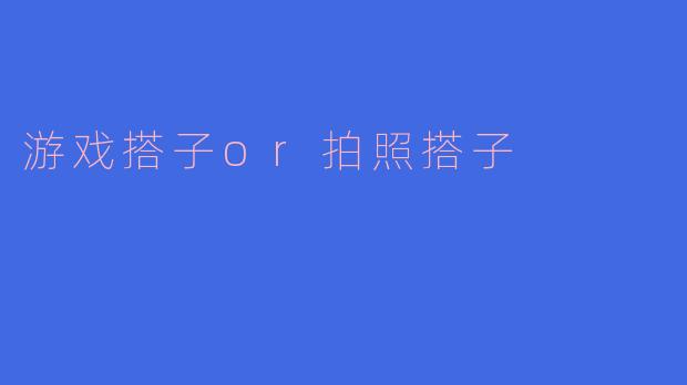 游戏搭子or拍照搭子