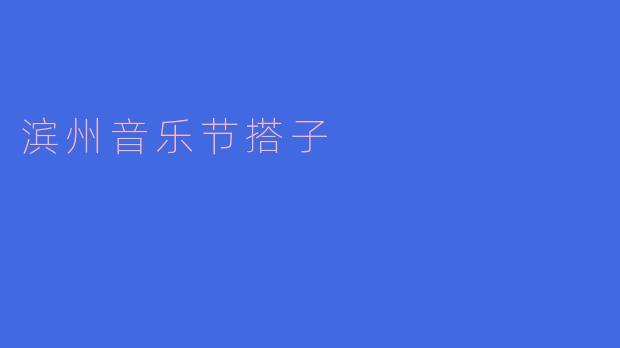 滨州音乐节搭子：开启音乐与友谊的新篇章