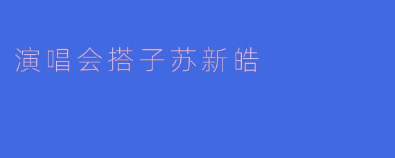 你能介绍一下演唱会搭子苏新皓吗？****