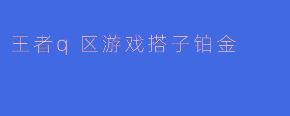 王者q区游戏搭子铂金