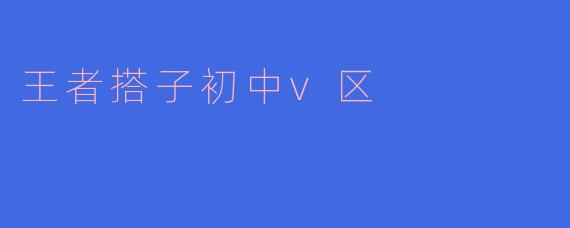 ### 王者搭子初中V区:竞技与友谊的交汇点