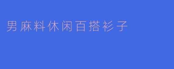 男麻料休闲百搭衫子