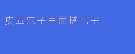皮五辣子里面搭巴子