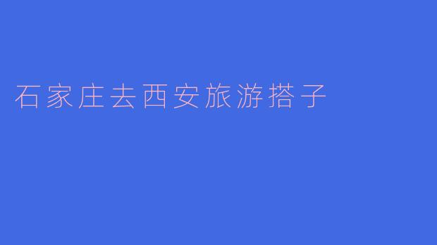 石家庄去西安旅游搭子