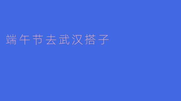 端午节去武汉搭子