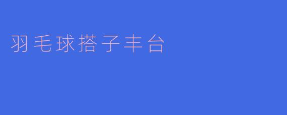 羽毛球搭子丰台