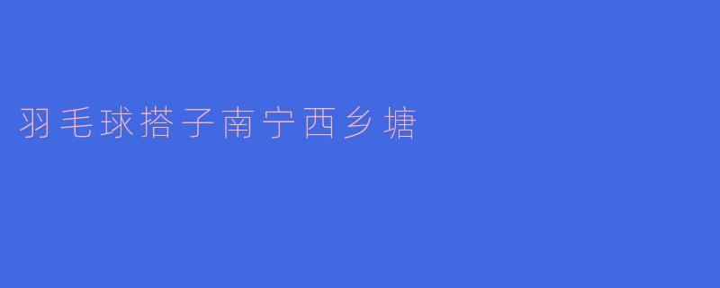 羽毛球搭子南宁西乡塘