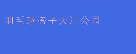羽毛球搭子天河公园